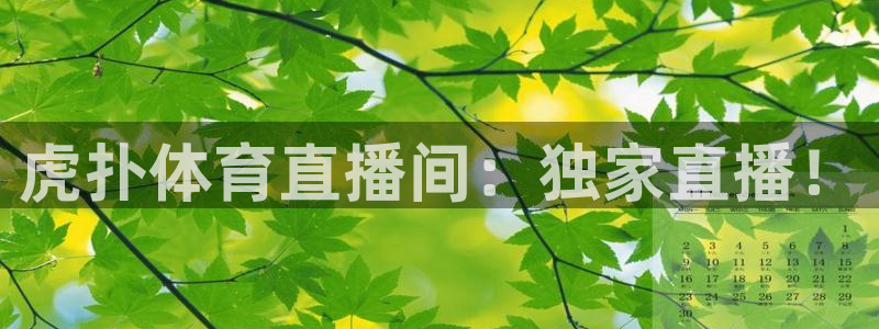 虎扑体育直播间：独家直播！