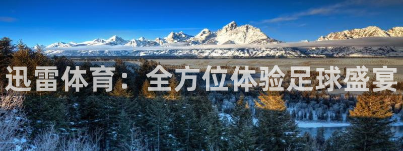 迅雷体育：全方位体验足球盛宴