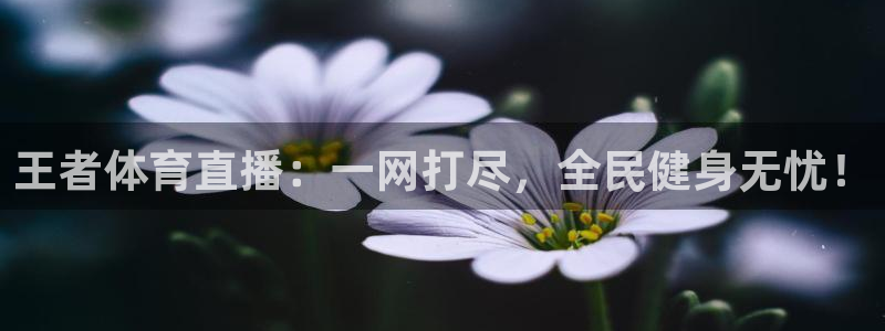 王者体育直播：一网打尽，全民健身无忧！