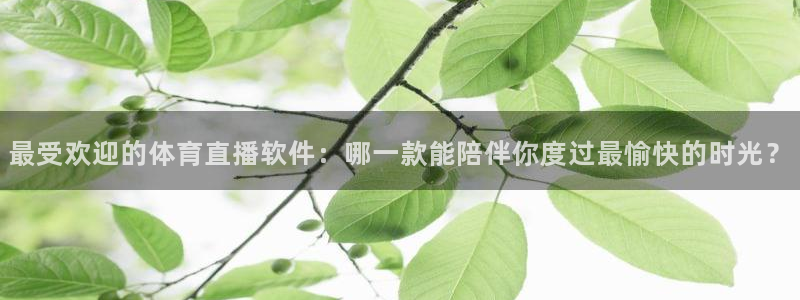 最受欢迎的体育直播软件：哪一款能陪伴你度过最愉快的时光？