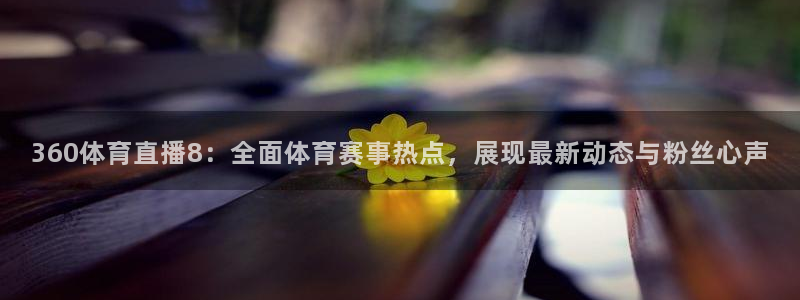 360体育直播8：全面体育赛事热点，展现最新动态与粉丝心声