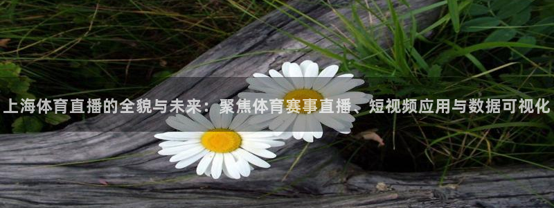 上海体育直播的全貌与未来：聚焦体育赛事直播、短视频应用与数据可视化
