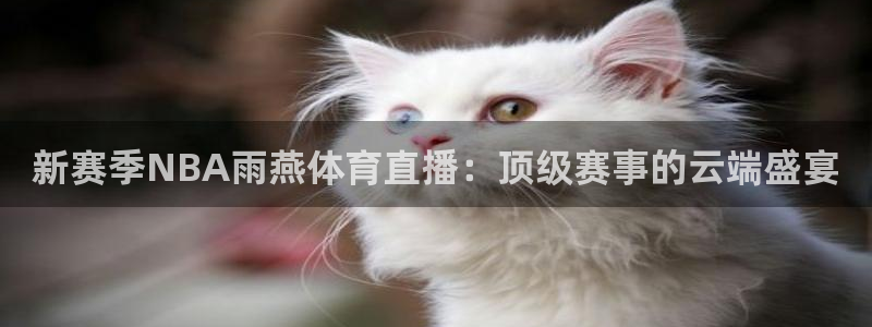 新赛季NBA雨燕体育直播：顶级赛事的云端盛宴