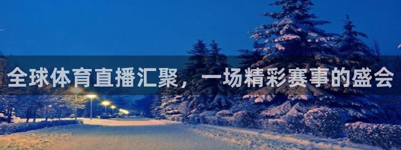 全球体育直播汇聚，一场精彩赛事的盛会